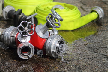  Adapter device for fire service with running water. Aqua pipe. Yellowishwhite Bladderwort in...