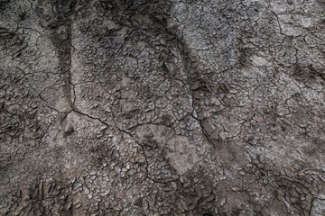 Cracked earth. The soil. Cracks. Drought.