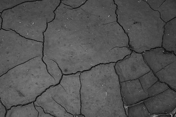 Obraz premium Cracked earth. The soil. Cracks. Drought.