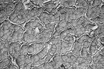 Cracked earth. The soil. Cracks. Drought.