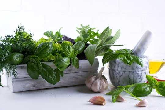 Fresh kitchen herbs and spices, oil  with a white ceramic mortar. Basil dill salad sage arugulagarlic chili pepper