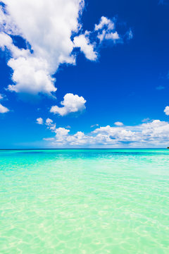 Fototapeta day caribbean sea sky cloud