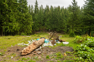 Trash in the forest of Carpathian mountains, Ukraine