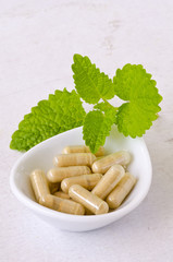 Alternative Medicine. Herbal Therapy. Melissa capsules.
