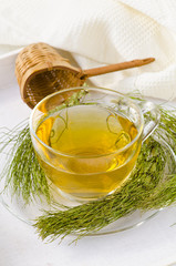 Alternative Medicine. Horsetail herbal tea.