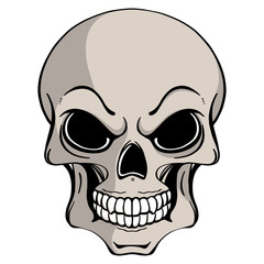 Illustration of human skull in ink hand drawn style