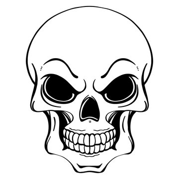 Black and white illustration of human skull in ink hand drawn style.