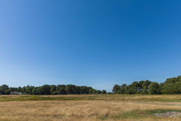Dry meadow with a clear blue sky on a bright and hot summers day