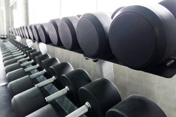 Fototapeta na wymiar Rows of metal dumbbells on rack in the gym