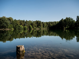 szene