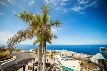 Foto op Aluminium Cityscape view of Los Gigantes cliffs. Tenerife, Canary Islands, Spain © bondvit