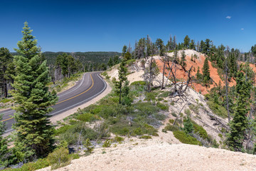 Beautiful road across Bryce Canyon in summer season