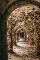 Obraz premium building old fort brick fortified destroyed wars nature