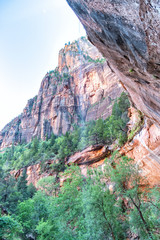 Mountains and vegetation in the Zion National Park, Emerald Pools Trail, Utah