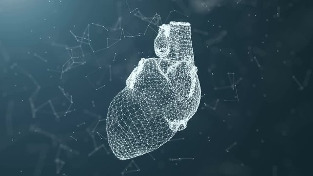 Plexus of the points of the heart.