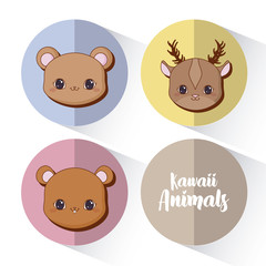 Kawaii animals desing