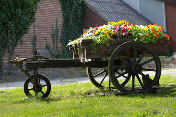 Alter Karren mit Blumen dekoriert