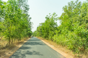 Fototapeta na wymiar Rural Indian uphill pitch road highway meets the sky horizon through trees on both sides forest red soil straight.