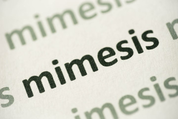 word mimesis printed on paper macro