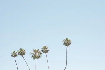 Crédence de cuisine en verre imprimé Eau Palm trees in a beach in California
