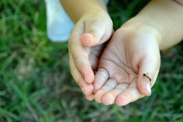 close up child hands