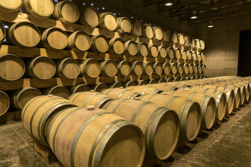 Wine cellar Oak barrels filled with aging wine