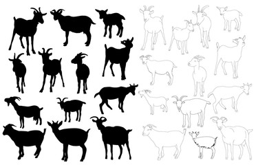 isolated set of goat silhouettes, outline of goat