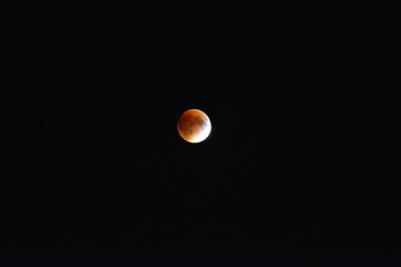 A Blood Moon