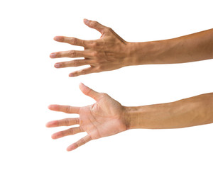 Clipping path hand gestures isolated on white background. Hand making number five sign or symbol gesture. Back hand front gesture.