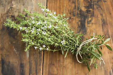 Summer Savory , Satureja Hortensis, Bunch