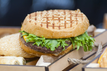 Hamburger with fresh vegetables