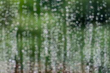 rain drops on a window with green background ecology concept intentional out of focus blur