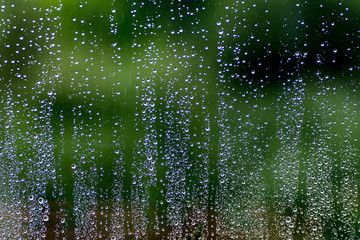 rain drops on a window with green background ecology concept