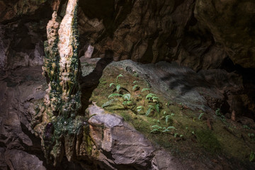 Höle mit Grotten und Stalaktiten