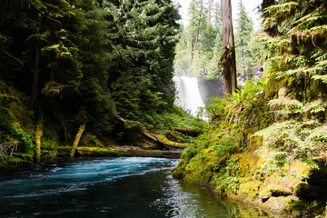 Sahalie falls