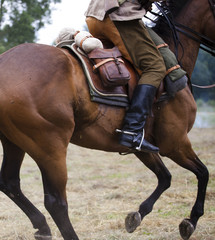 The Polish cavalryman rides a horse. Polish cavalry shows
