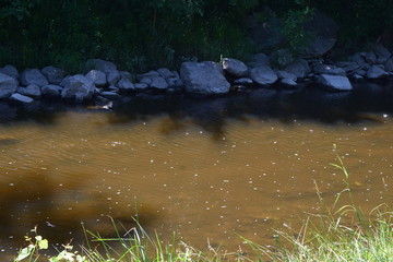 creek