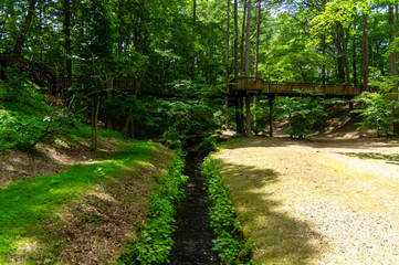 Obraz premium 風のガーデン