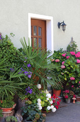 house entrance door with lots of flowers