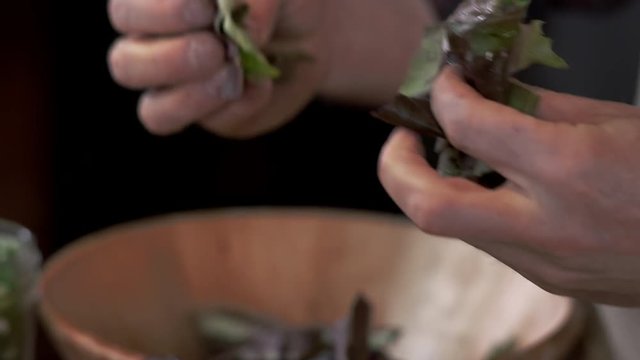 Chef tearing apart leaves of fresh lettuce and dropping into salad bowl