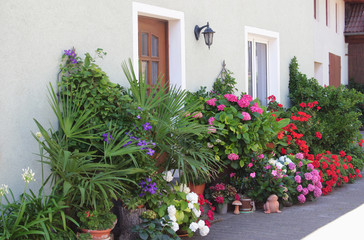 Fototapeta na wymiar house entrance with many flowers and green plants