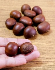 Hand Holding Roasted Chestnuts on Wooden Table