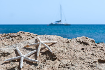 The theme of the beach, recreation, vacation. Sea, sand, rocks and starfish, space for text