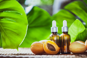Аpricot kernel oil in a glass jar closeup. Fresh Аpricots fruits whole and half on a natural tropical background.Homeopathic and alternative medicine.