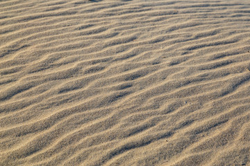Sand ripples, Sandriffel,