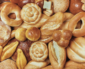 Assorted Breads Artisan bread creations