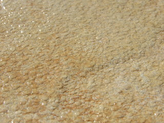 Water droplets on a stone tile table outside