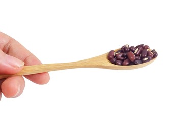 Hand Holding Wooden Spoon with Kidney Beans