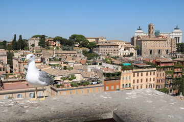 Fototapeta na wymiar View to Rome Forum Romanum, Italy