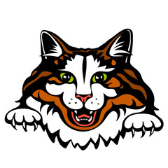 Vector illustration of cat head color version. Tattoo style